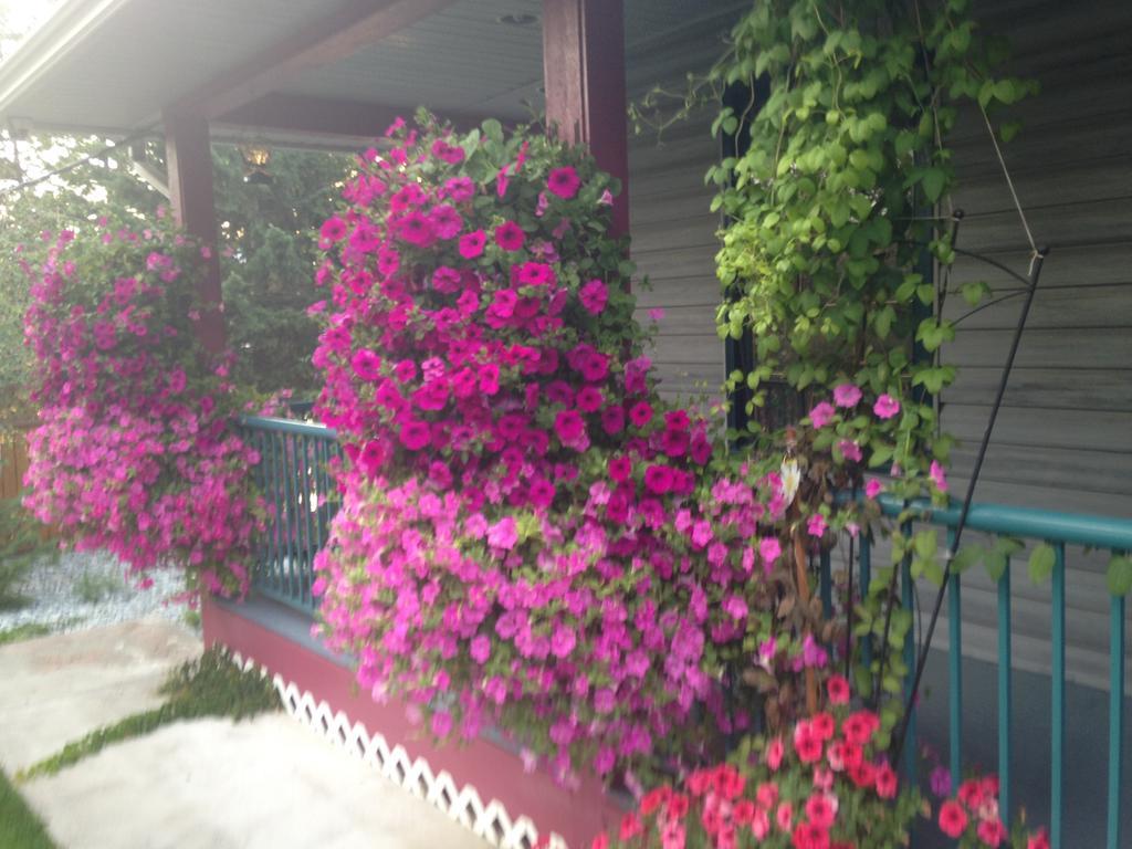 Eagle'S Nest B&B Lake Country Room photo